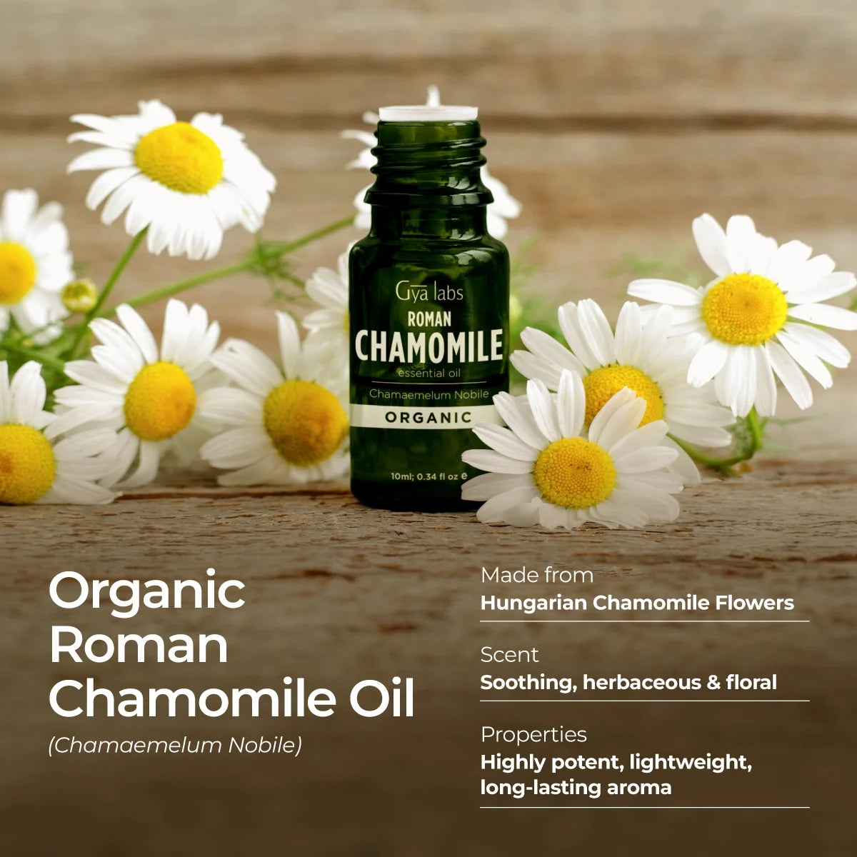 Organic Roman Chamomile Essential Oil - 0.34 Fl Oz - for Skin, Hair, Diffuser, Aromatherapy, DIY Candle Making Scents