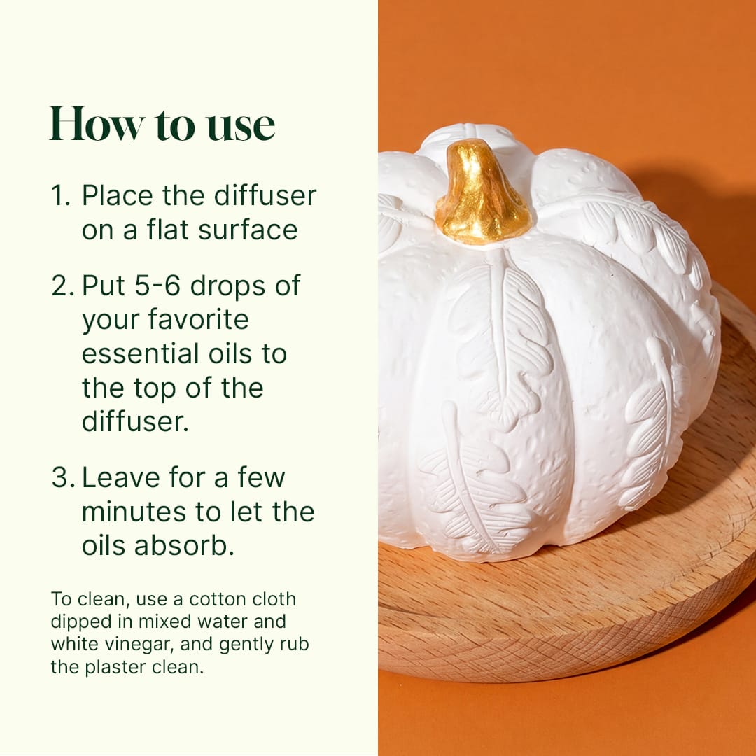 Instructional graphic with text steps and close-up of textured white plaster pumpkin surface with gold stem