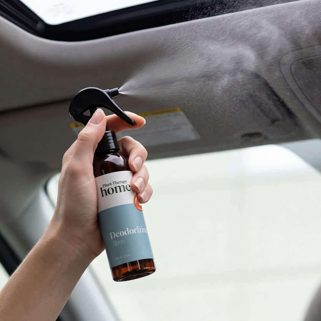 Spraying fine mist onto grey car headliner ceiling near sunroof