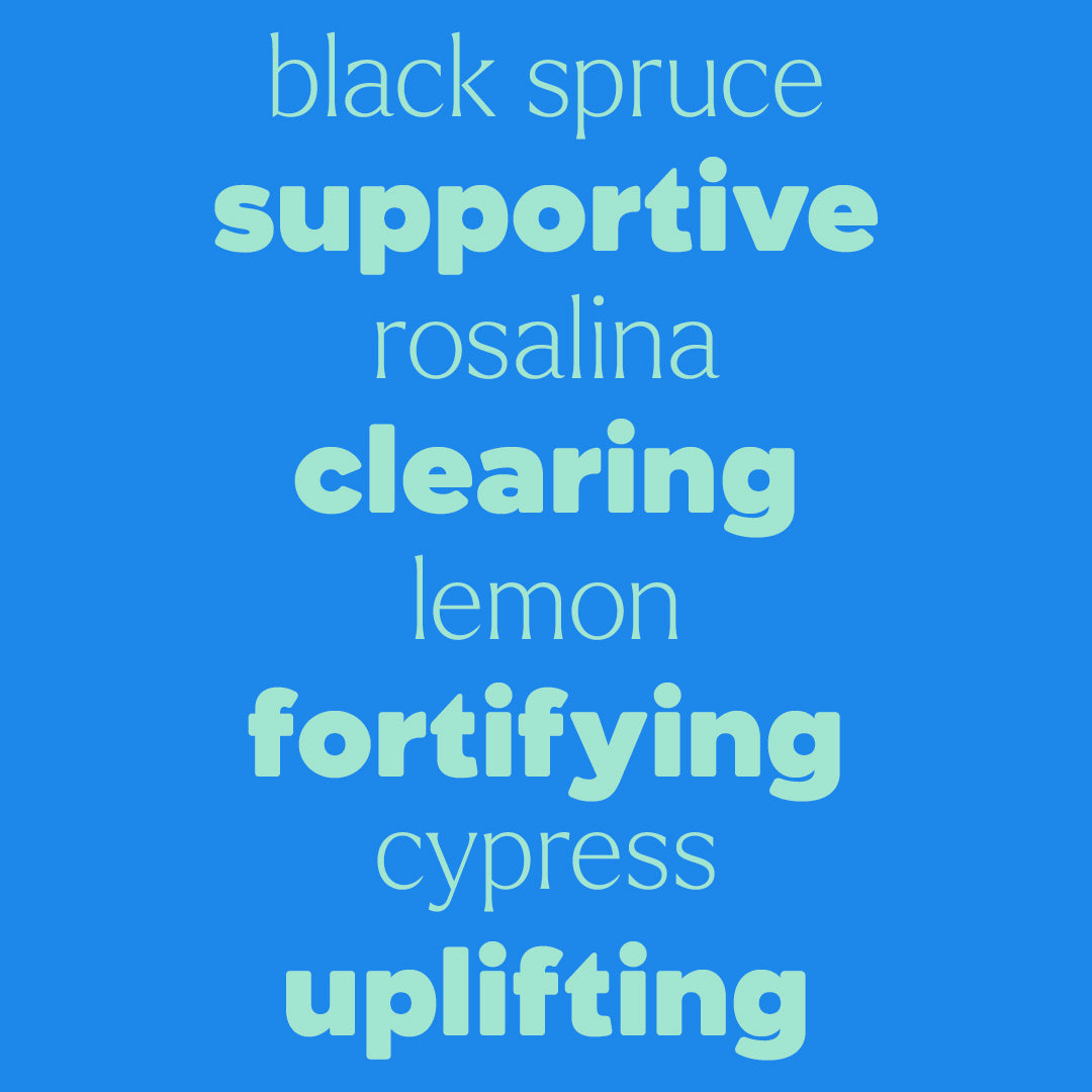 Typographic graphic on a blue background listing ingredients like black spruce and lemon in teal fonts.