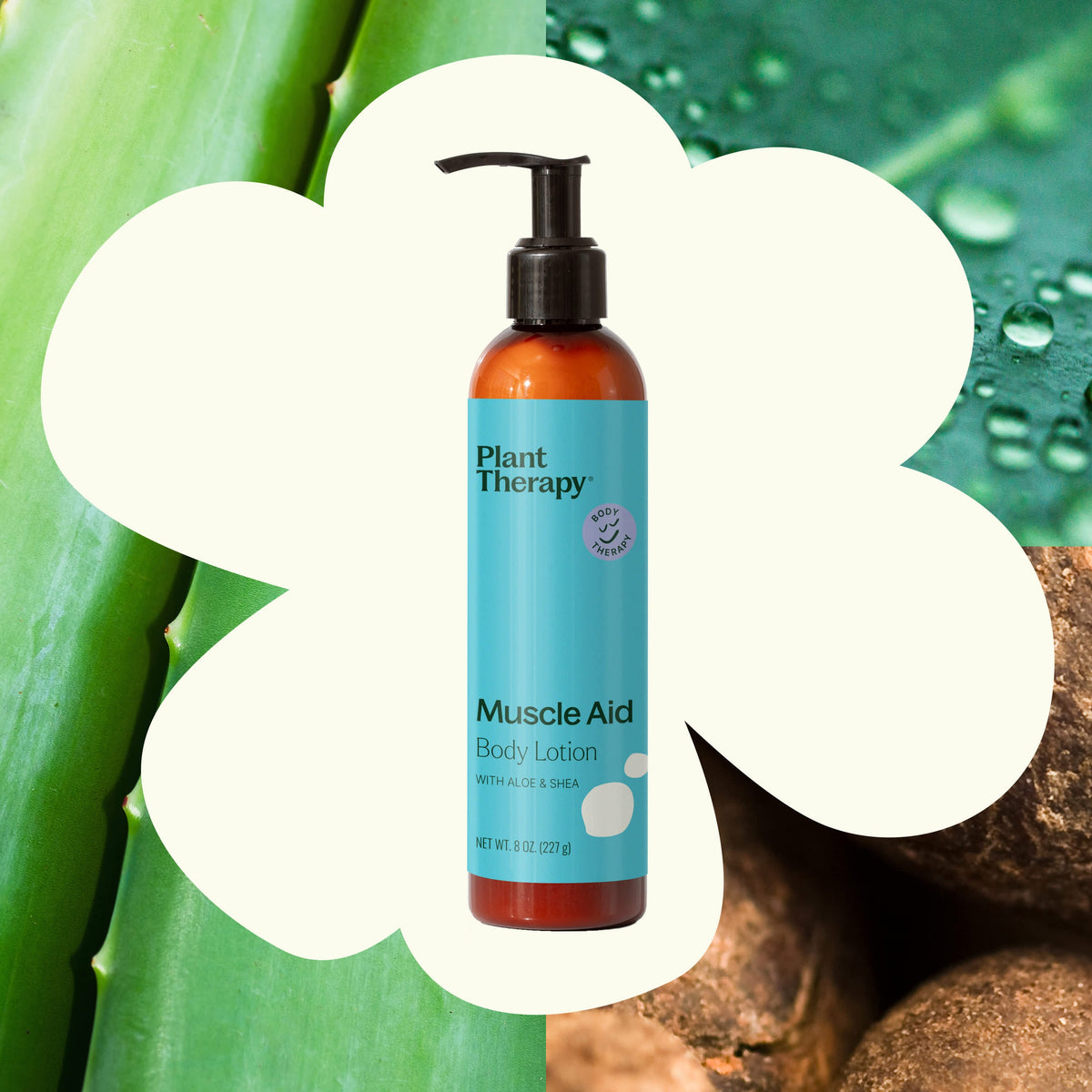 Lotion bottle in cream flower shape surrounded by aloe leaves and shea nuts