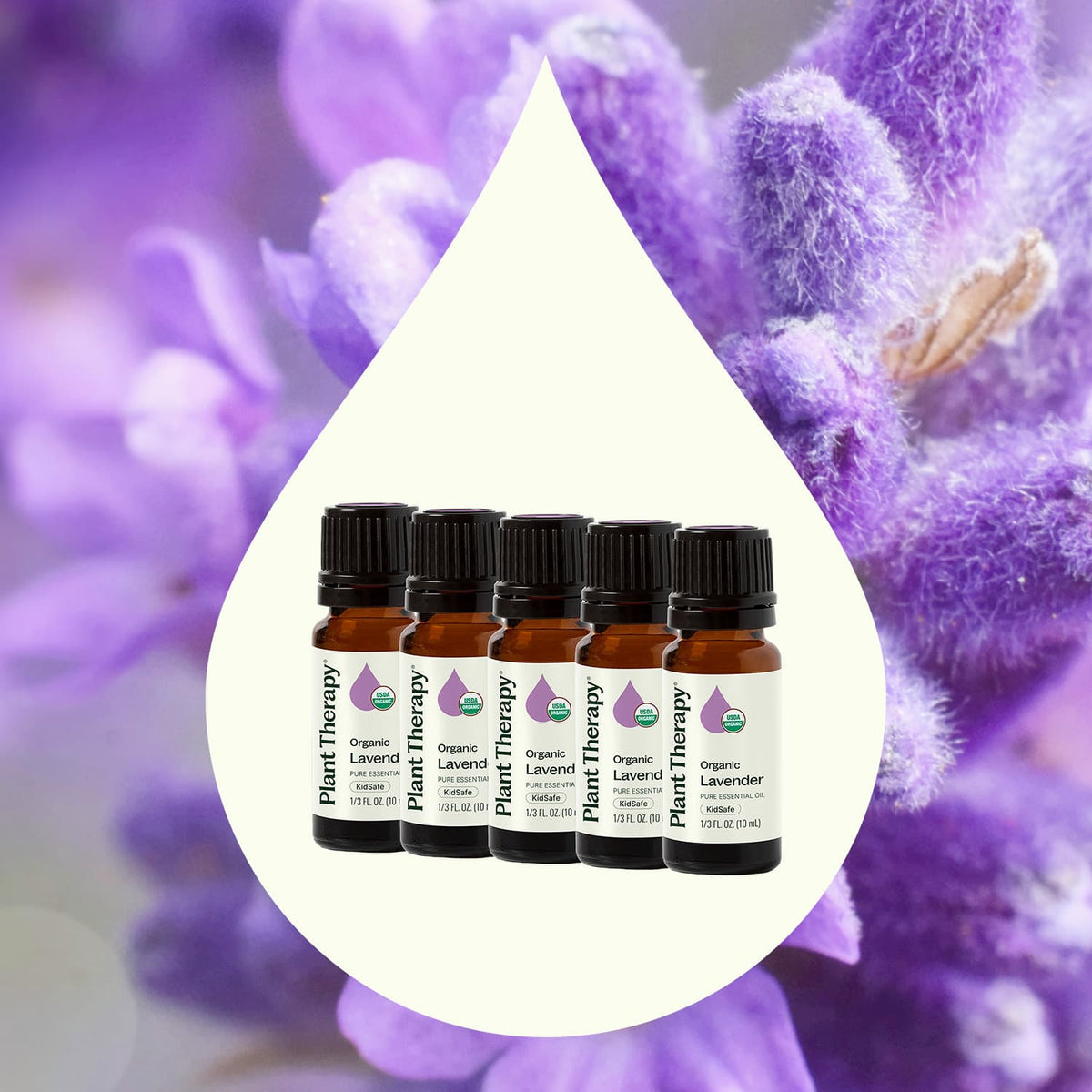 Five oil bottles inside a white droplet shape superimposed over purple lavender flowers