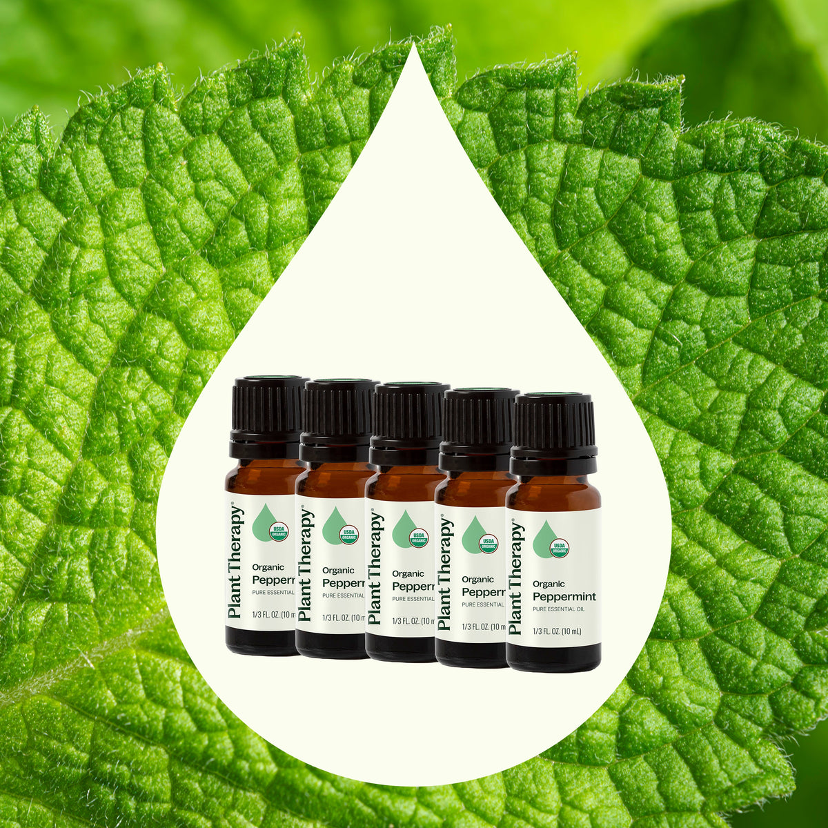 Five essential oil bottles inside white teardrop shape over green peppermint leaf background