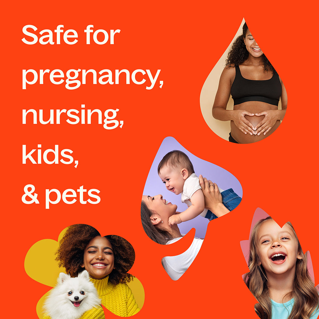Orange promotional image showing family and pet safety icons next to text for pregnancy and kids