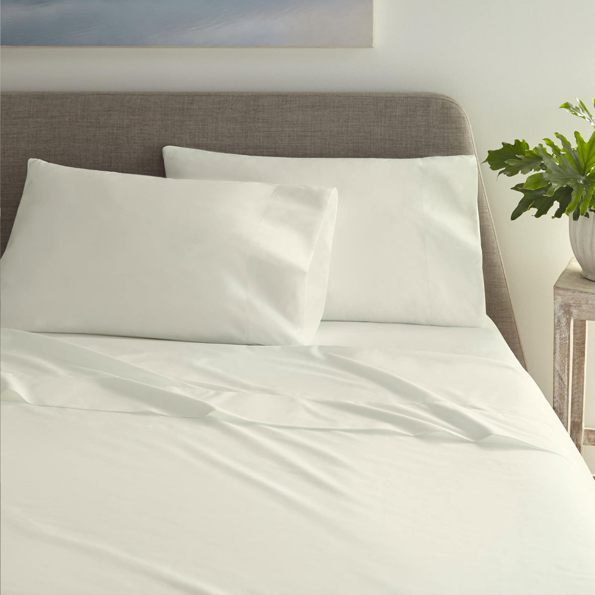 White percale bedding on grey headboard beside green plant and wooden table