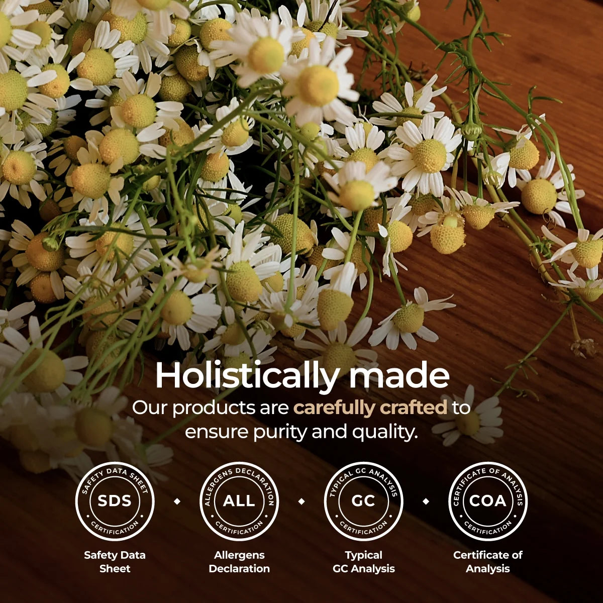 Organic Roman Chamomile Essential Oil - 0.34 Fl Oz - for Skin, Hair, Diffuser, Aromatherapy, DIY Candle Making Scents