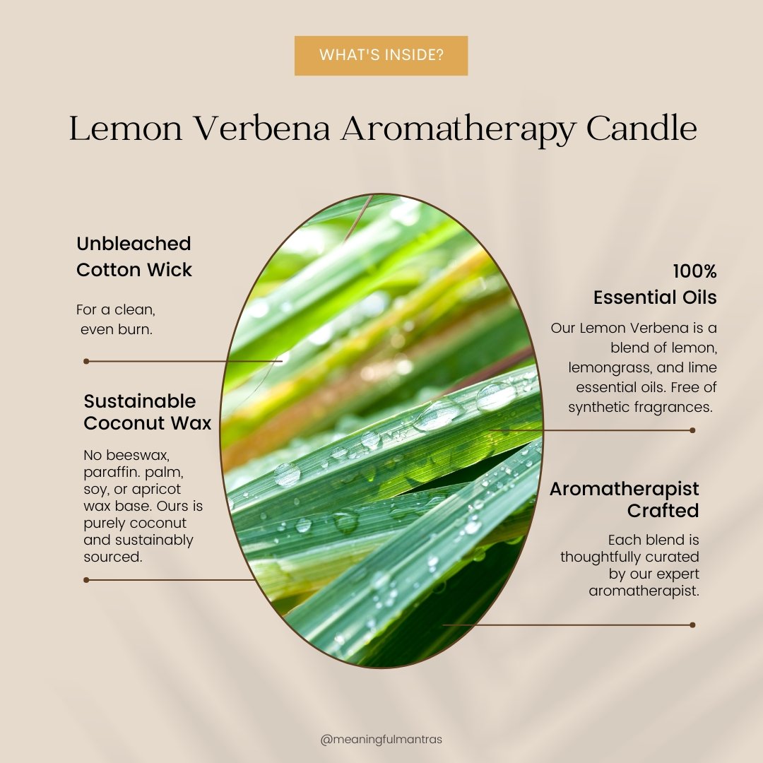 Graphic showing green lemongrass leaves surrounded by text about sustainable coconut wax ingredients