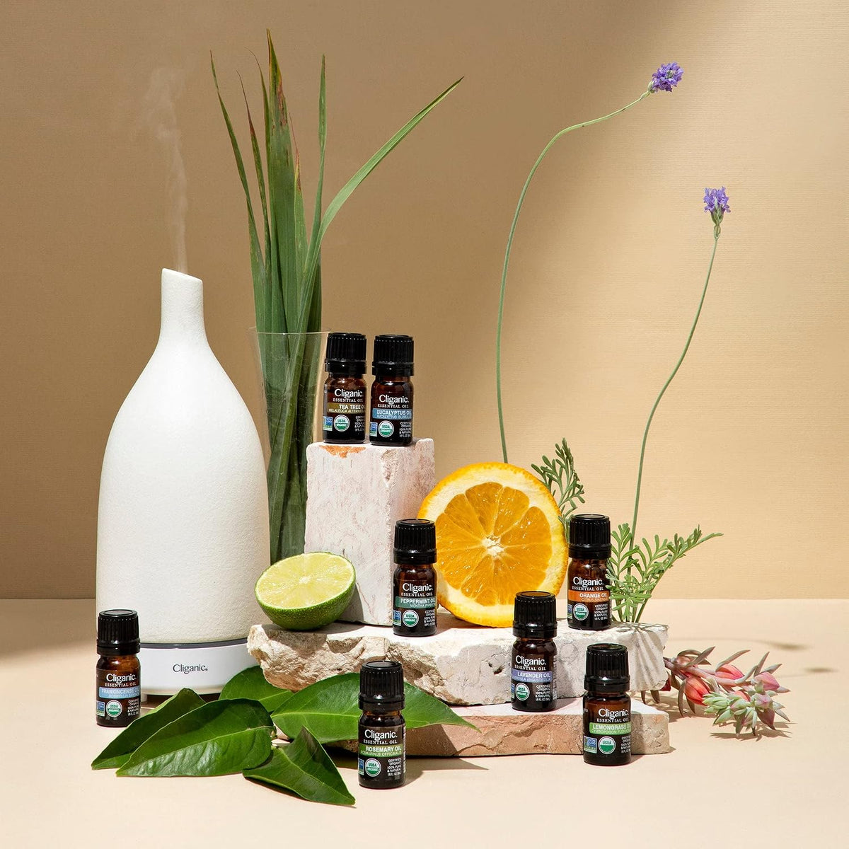 Organic Cinnamon Leaf Essential Oil, 100% Pure Natural for Aromatherapy | Non-Gmo Verified