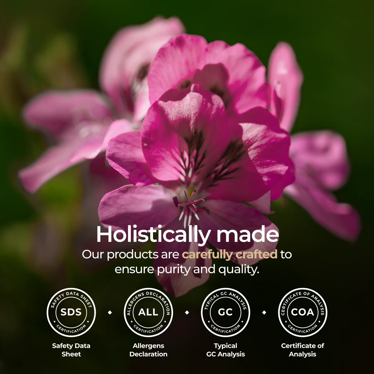 Organic Rose Geranium Essential Oil - 0.34 Fl Oz - for Skin, Hair, Diffuser, Aromatherapy, DIY Candle Making Scents