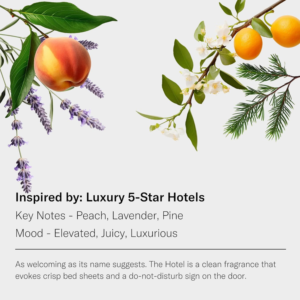 the Hotel Aroma Essential Oil Blend: Luxury Hotel Inspired Aromatherapy with Lemon, Lavender, Peach & Pine for Ultrasonic Diffusers & Nebulizers (120 Ml, the Hotel)