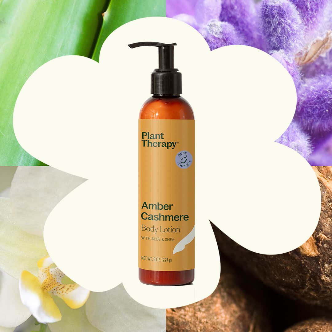 Lotion bottle in cloud cutout surrounded by aloe leaves, lavender flowers, and shea nuts