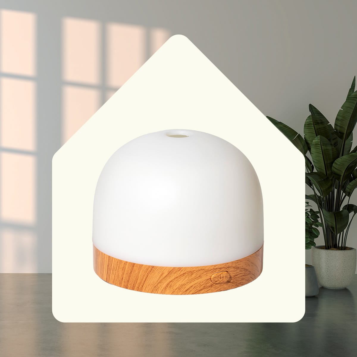 AuraDrop diffuser framed in white house silhouette graphic against window shadows and potted plant