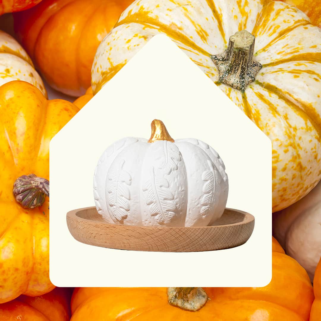 White pumpkin diffuser in house-shaped frame against background filled with real orange pumpkins and gourds