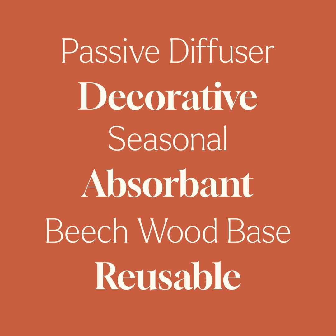 Terracotta orange background with centered white serif and sans-serif text listing product attributes like passive diffuser