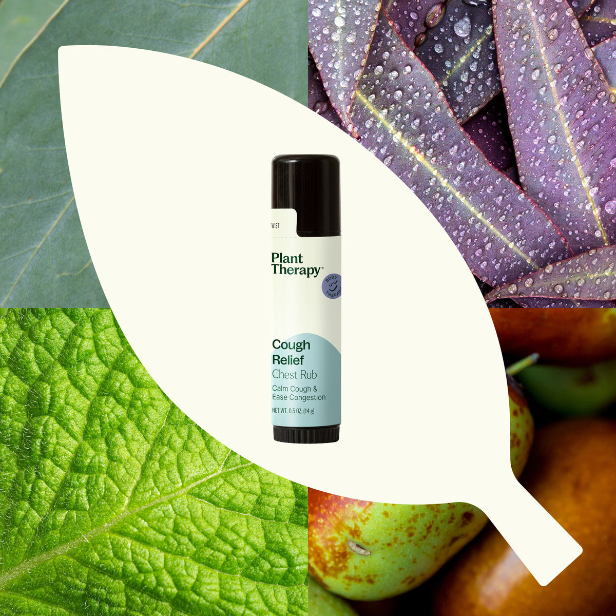 Chest rub stick centered in white leaf cutout surrounded by green and purple nature panels