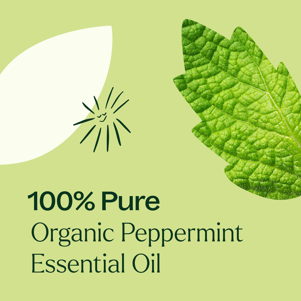 Green peppermint leaf texture and sun icon with text for pure organic essential oil