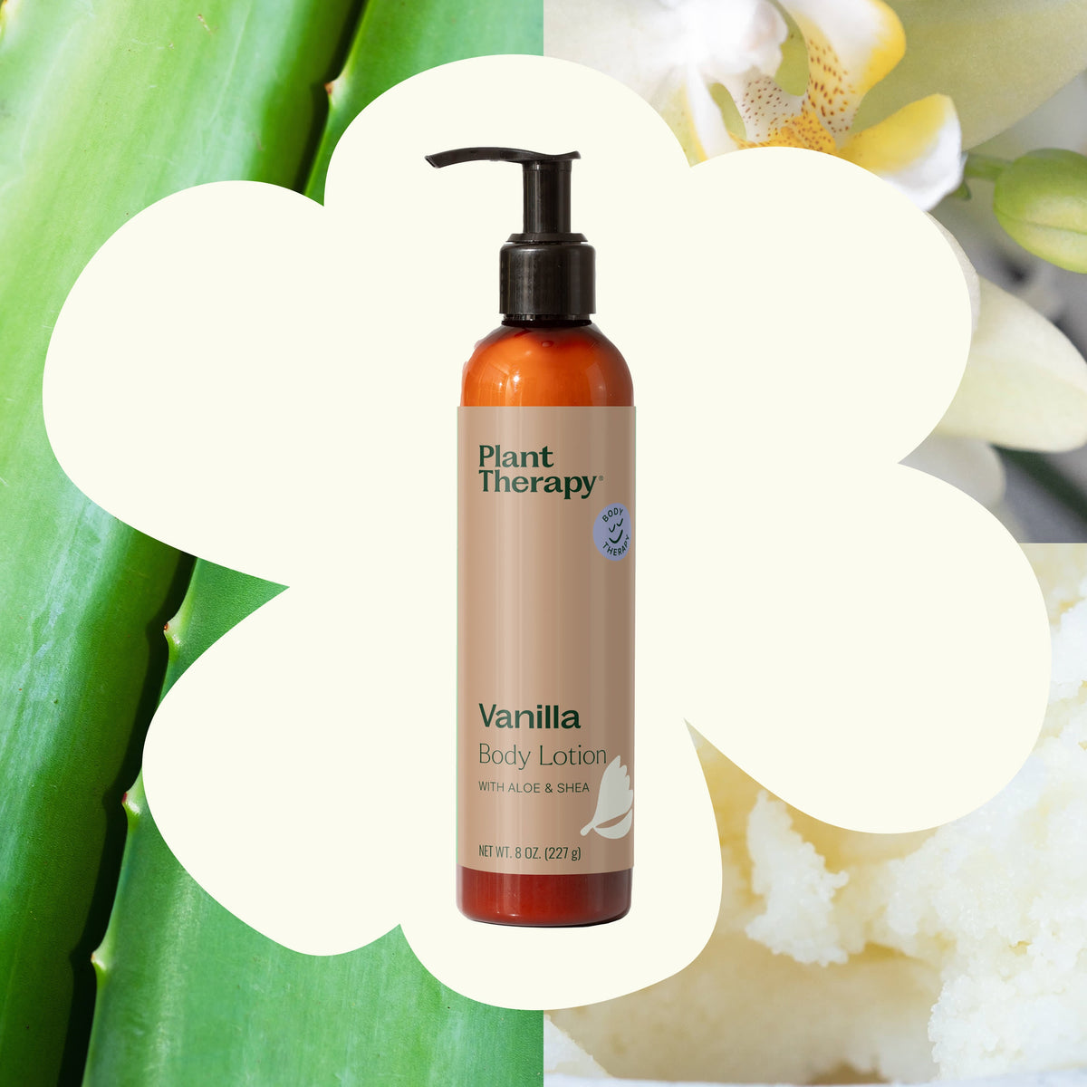 Lotion bottle in flower cutout surrounded by aloe leaves, vanilla flower, and shea butter