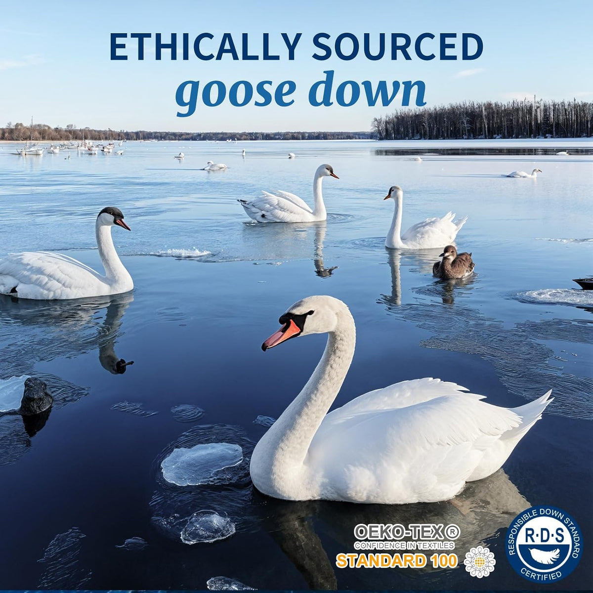 Canadian Luxury Goose down Pillow Queen Size - 900 Fill Power